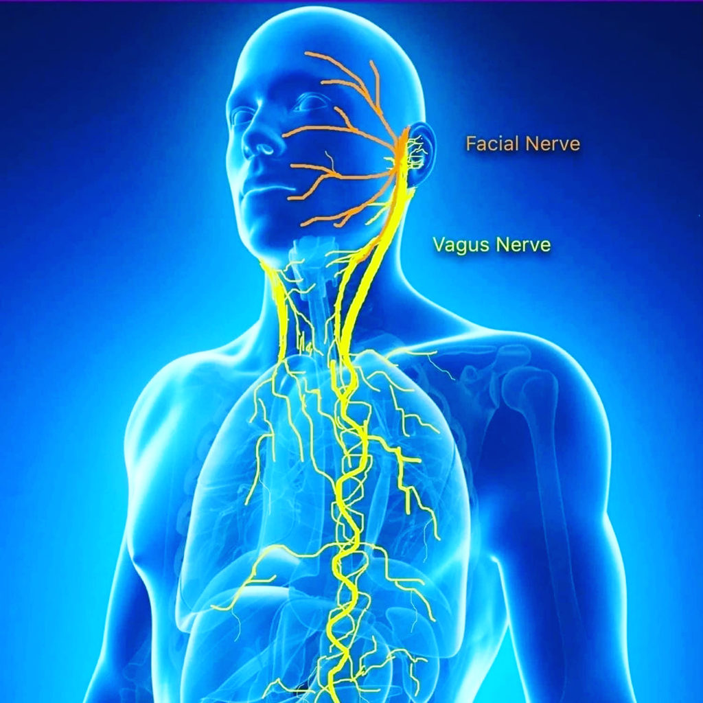 Reset Your Vagus Nerve In 5 Minutes An T m